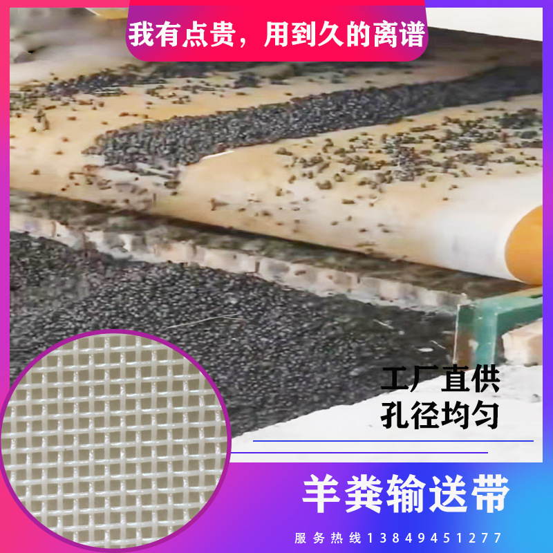 工厂现货供应耐酸养殖场清粪带 聚酯pet滤水烘干传动羊粪输送带