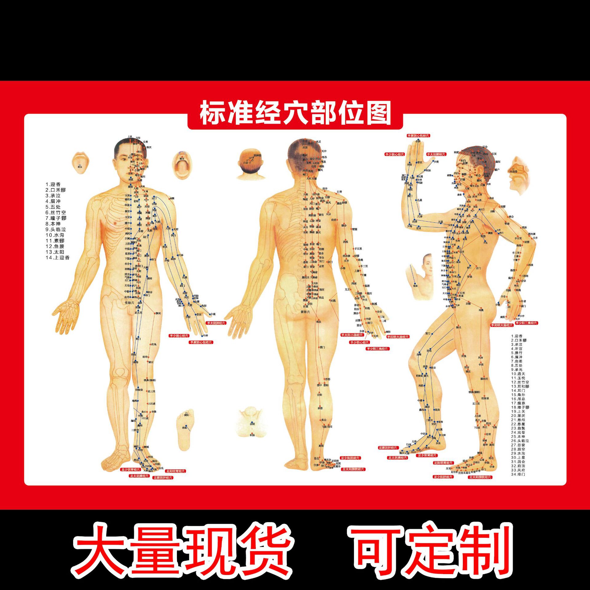 批发挂图标准人体经络穴位图 高清艾灸图彩色双面穴位图 一件代发