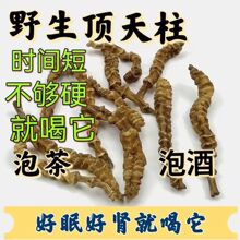 云南苗药顶天柱 淫花果硬的快 持久泡茶泡药酒