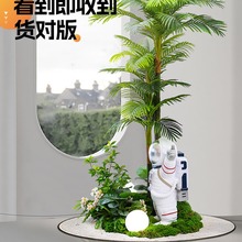 大型绿植散尾葵造景组合室内橱窗玄关景观装饰楼梯下落地摆件