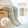 21 Korean Edition Padded baby Knee socks three-dimensional Infants Children Stockings dinosaur Mesh Medium hose