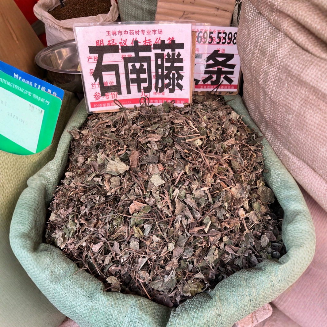 灵芝草仙草