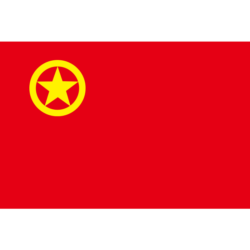 中国共青团团旗1号2号3号4号5号大号手持红旗装饰户外室内壁挂三