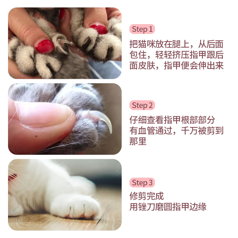 Cross-Border Pet Nail Clipper Big and Small Dogs Dog Nail Clippers Cat Nail Clippers Cut Belt File Cleaning and Beauty Supplies