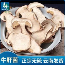 Zqv秘林森云南特产牛肝菌新鲜白牛肝菌干货食用菌煲汤野生菌菇类