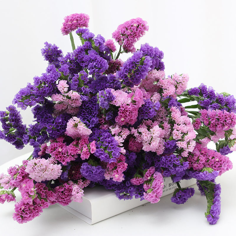 勿忘我干花花束客厅摆设真花卧室客厅插花ins超市跨境代货亚马逊