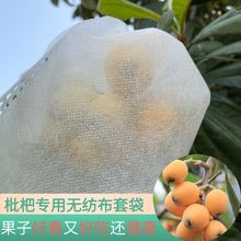 水果套袋枇杷袋防虫防蜂防果蝇树上果袋无纺布透气代发小额代发