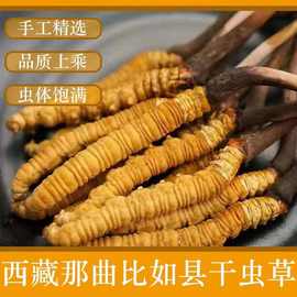 西藏那曲冬虫夏草足干虫草全规格批发无断草产地直供滋补品天然