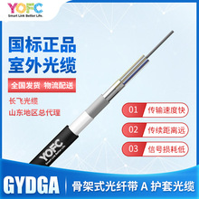长飞光纤光缆骨架式带状GYDGA72芯96芯144芯216芯288芯6芯一带