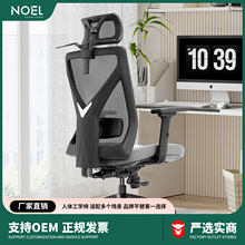 NOEL 人体工程学办公椅子办公室专用转椅电脑椅椅子办公久坐不累