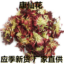 应季新货 新鲜康仙花 花草茶500克/1斤散装 厂家直供 食用休闲茶