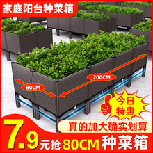 种植箱种菜专用箱塑料花盆家用阳台菜盆长方形蔬菜楼顶特大花箱盆