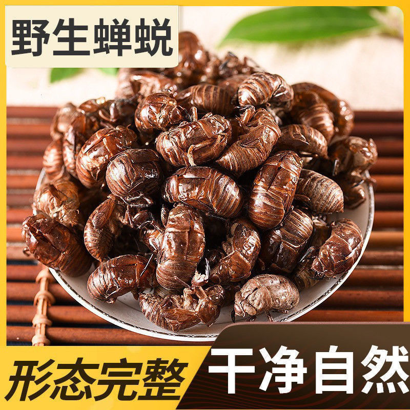 蝉蜕农家自采大山里的蝉蜕蝉衣蝉脱金蝉衣知了壳包邮真货好货