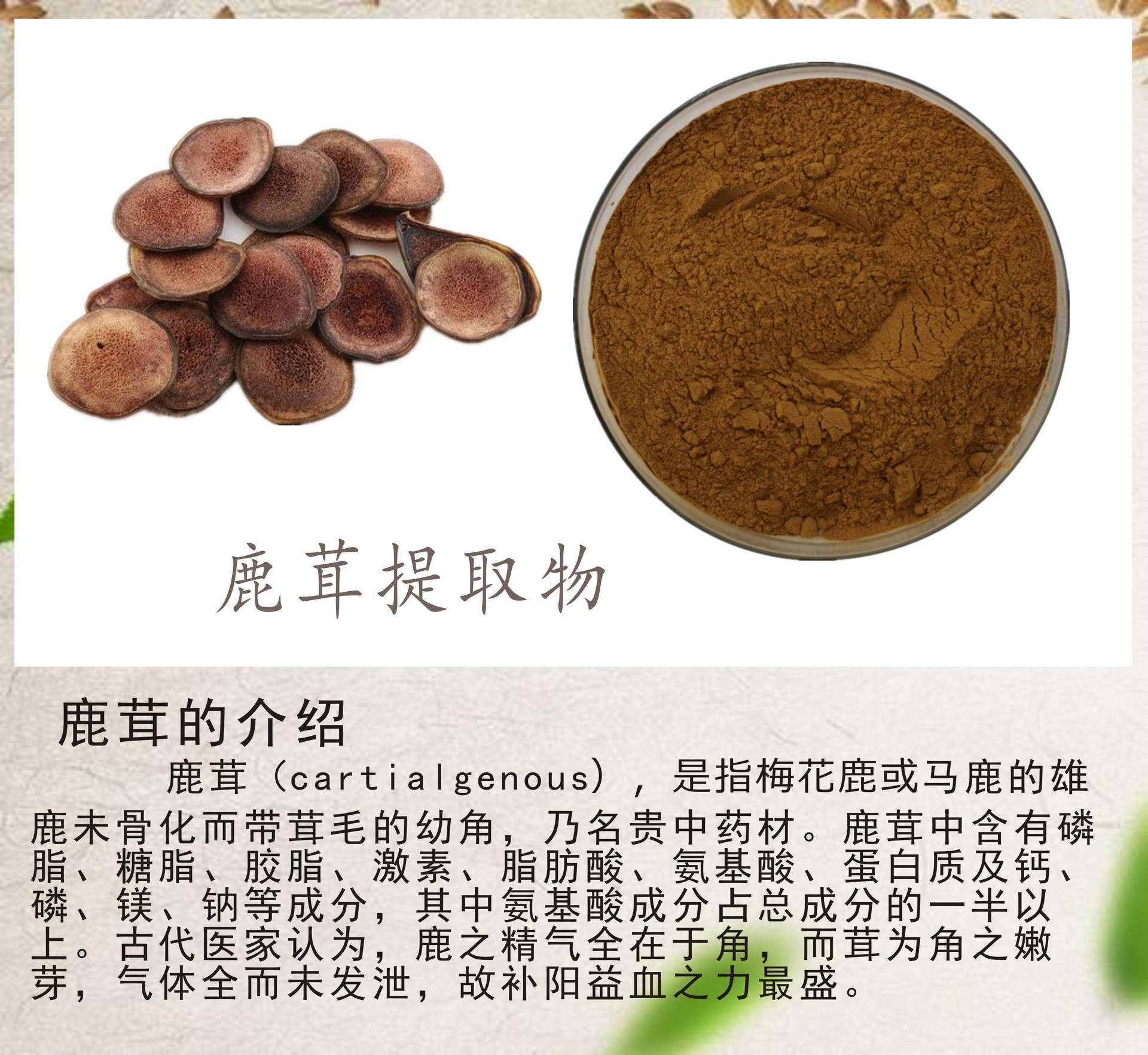 鹿茸提取物10:1 鹿茸萃取粉 中药材 1kg装 多种含量 比例提取物