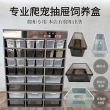 A4A6爬宠饲养盒掌上名蛛PVC爬柜抽屉盒守宫蜥蜴蛇角蛙蜘蛛龟