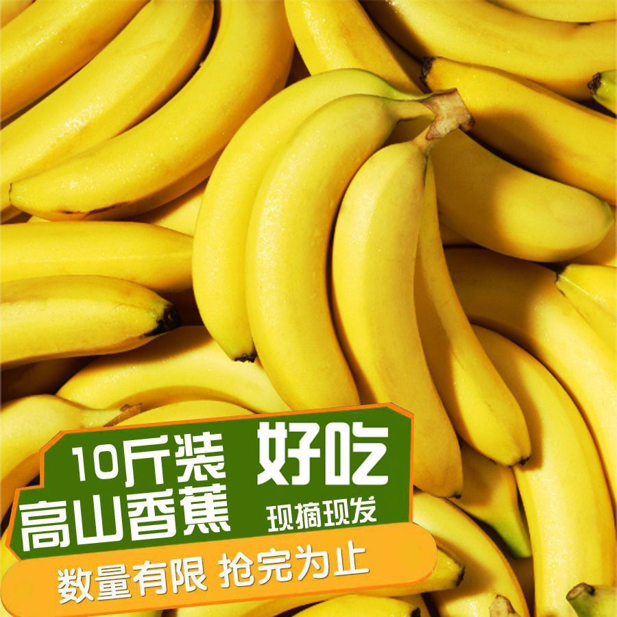 云南高山甜香蕉现摘整箱甜新鲜水果绿香蕉青皮蕉纯天然青果banana