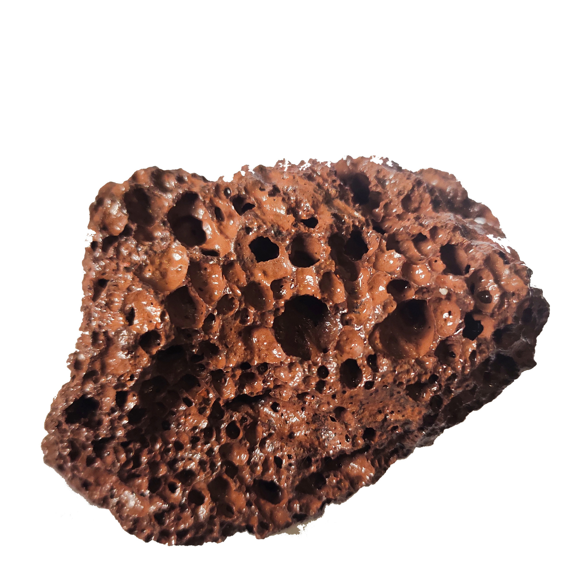 水处理黑色火山石 鱼缸造景过滤园艺填料铺路用红色火山石