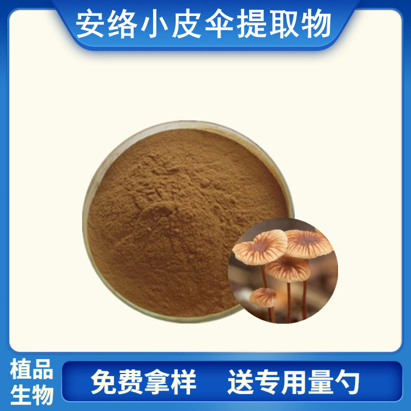 安络小皮伞提取物 水溶安络小皮伞粉 500克-阿里巴巴