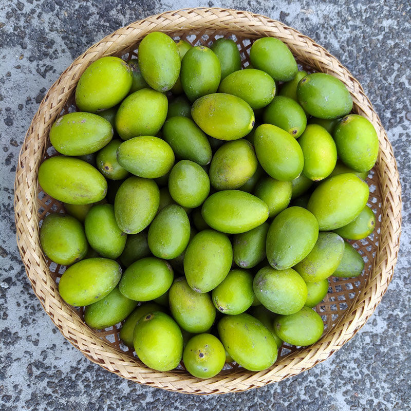 青橄榄2022年现摘现发新鲜潮州特产檀香榄青果水果包邮批发亚马逊