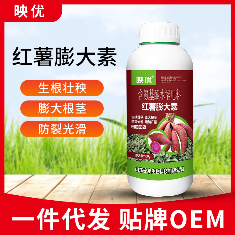 红薯根茎膨大素土豆红薯萝卜山药地瓜姜蒜块根块茎叶面肥促长控旺