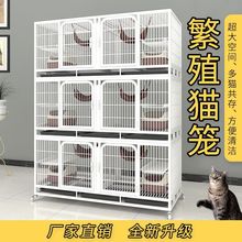 繁育笼繁殖猫三层宠物店寄养多层狗笼子带隔断双层猫舍子母