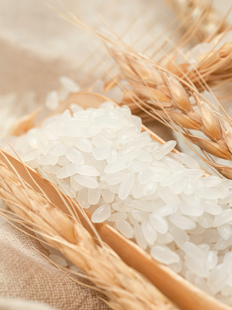 z内蒙长粒香米当季大米新米东北大米粳米10斤米饭现磨5kg