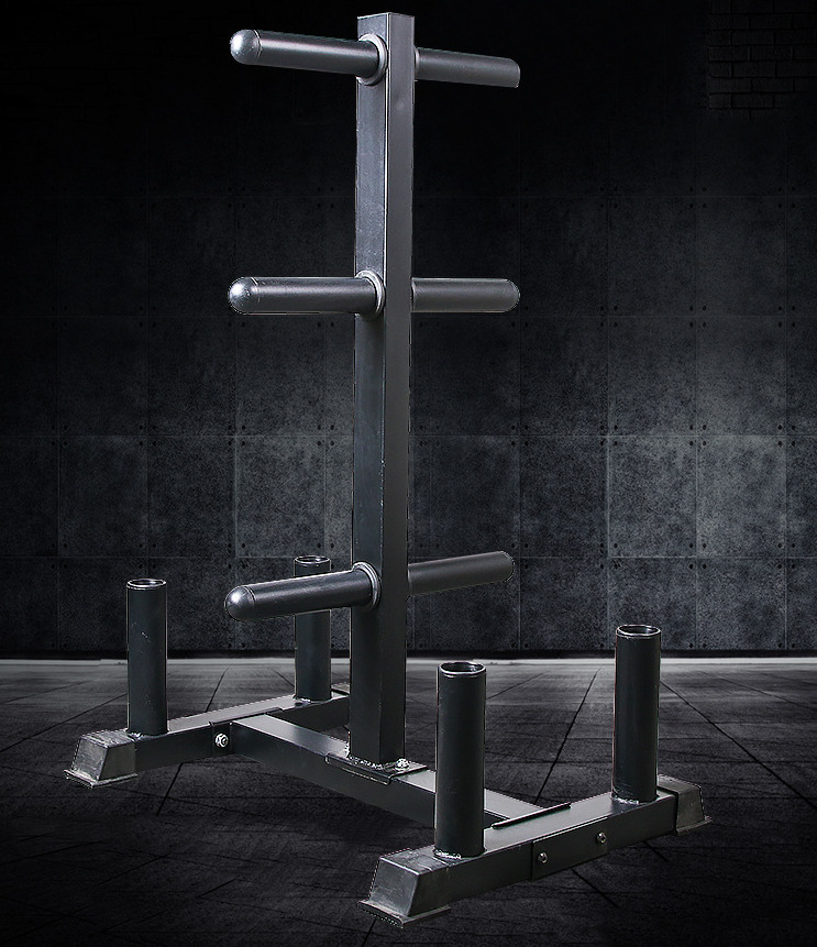 杠铃片架子家用 杠铃杆奥杆储存支架 健身房大孔小孔哑铃片收纳架