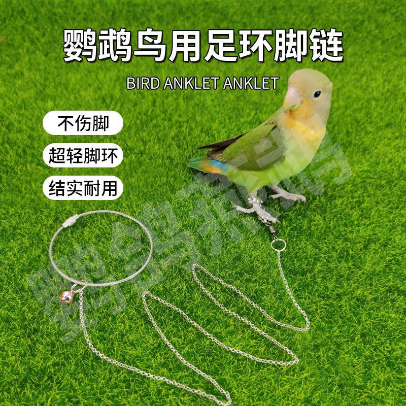 鹦鹉训练脚链鸟类足环虎皮牡丹玄凤八哥外出放飞绳超轻防咬不伤脚