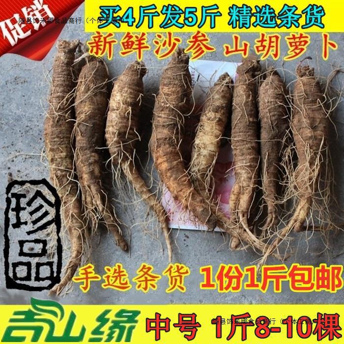 【中号沙参】东北新鲜沙参500克山胡萝卜山地瓜煎沙参买4斤送1斤
