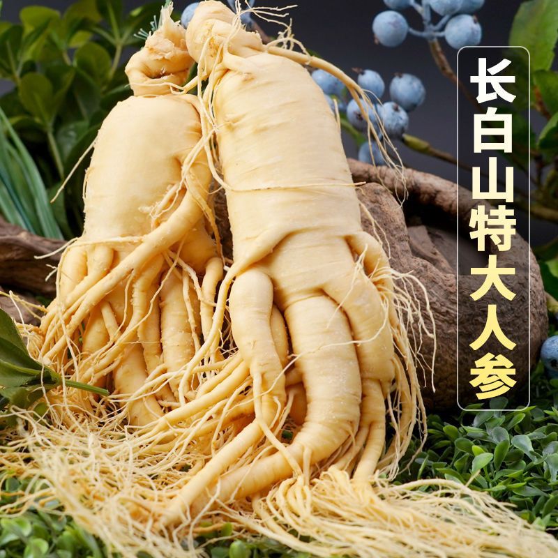 长白山人参 新鲜人参泡酒鲜参真空包装煲汤 东北特产 特大老参包