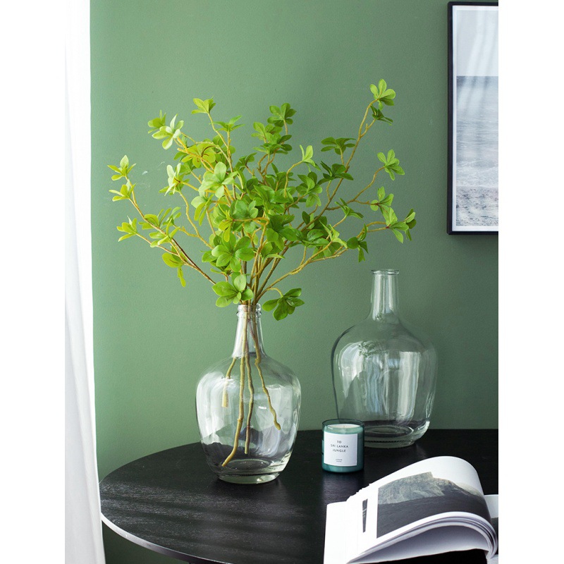 雪柳马醉木大肚玻璃花瓶插花摆件现代客厅落地花器透明大号ins风