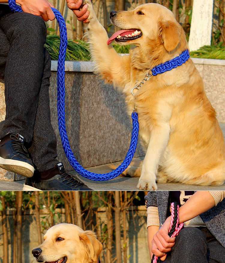 p链牵引绳遛狗绳中型犬柯基犬萨摩耶大型金毛拉布拉多项圈狗链子