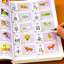 幼儿学前常用字识字大王3000字幼儿认字启蒙教材注音版幼小衔接