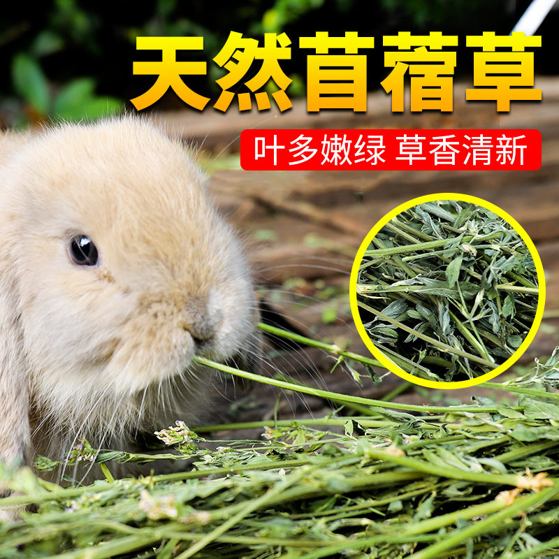 紫花苜蓿草干草饲料幼兔草龙猫草荷兰猪草草粮牧草兔粮苜