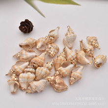 欧美时尚海洋风 UV包边海螺贝壳镶金边 天然淡水珍珠散珠DIY配件