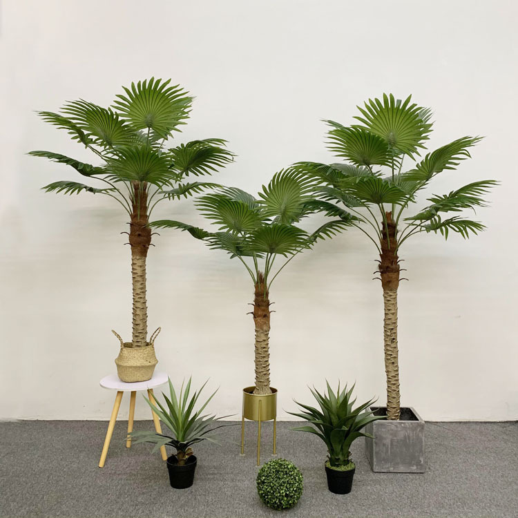 棕扇葵盆栽 凤尾树室内客厅大型绿植 袖珍叶夏威夷盆景富贵仿真树