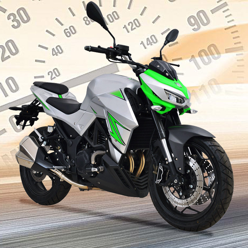 全新大蟒蛇街车摩托车国四电喷n19双缸400cc重机车跑车整车可上牌