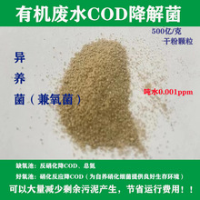 耐低温COD氨氮降解菌种屠宰养殖废水处理高浓度COD/BOD/TDS去除菌