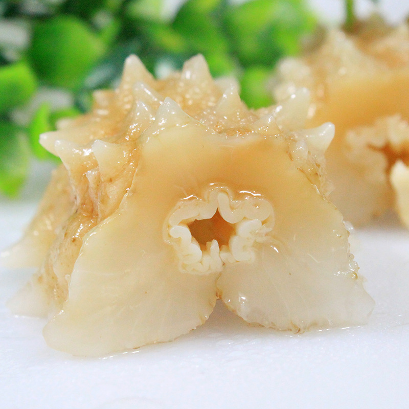 阜实商贸厂家冰岛黄金刺即食海参500g黄玉参即食厂家大量批发