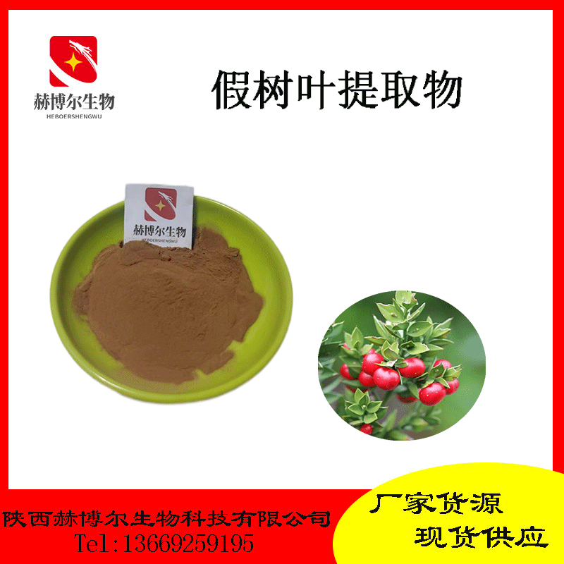 假树叶提取物 10:1 含鲁斯可皂甙 假叶树皂苷元 假树叶粉 kg装