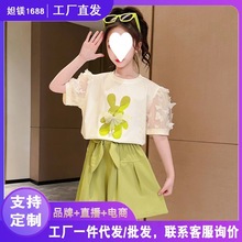 女童套装夏季2023新款洋气儿童夏装中大童短袖女孩休闲网红两代发