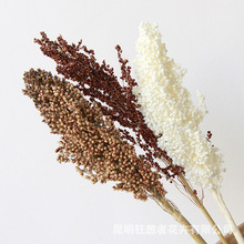 狂想者新品【高粱单枝】自然干花场景布置拍摄道具家居装饰