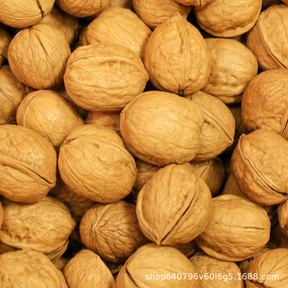生核桃新鲜核桃