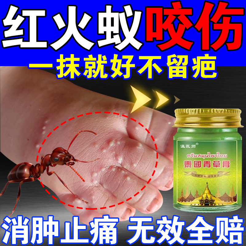 蚂蚁咬伤药膏治红火蚁咬伤隐翅虫毒虫叮咬糜烂瘙痒止痒消肿特效药