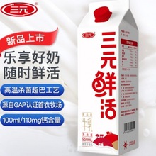 新日期三元牛乳50ml大桶装3.2克优质乳蛋白家庭老人学生奶批发厂