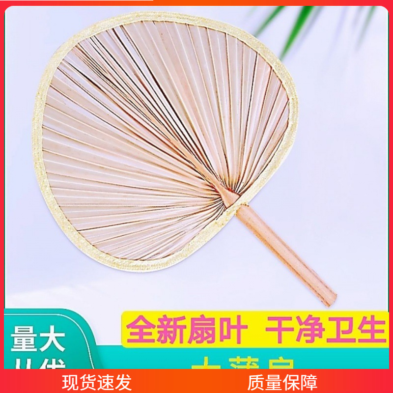 小扇子批发地摊蒲扇古风芭蕉扇扇子蒲扇子老式夏天舞蹈绘画葵扇.