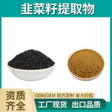 【男性】韭菜籽提取物 30:1 韭菜籽浓缩粉、韭菜子 工厂现货|包邮