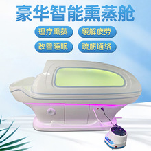 广州智能熏蒸舱 理疗养生舱熏蒸汗蒸理疗舱电子美容仪美容院商用