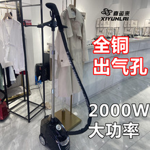 蒸汽挂机商用衣服专用立式家用服装店大功率熨斗熨机