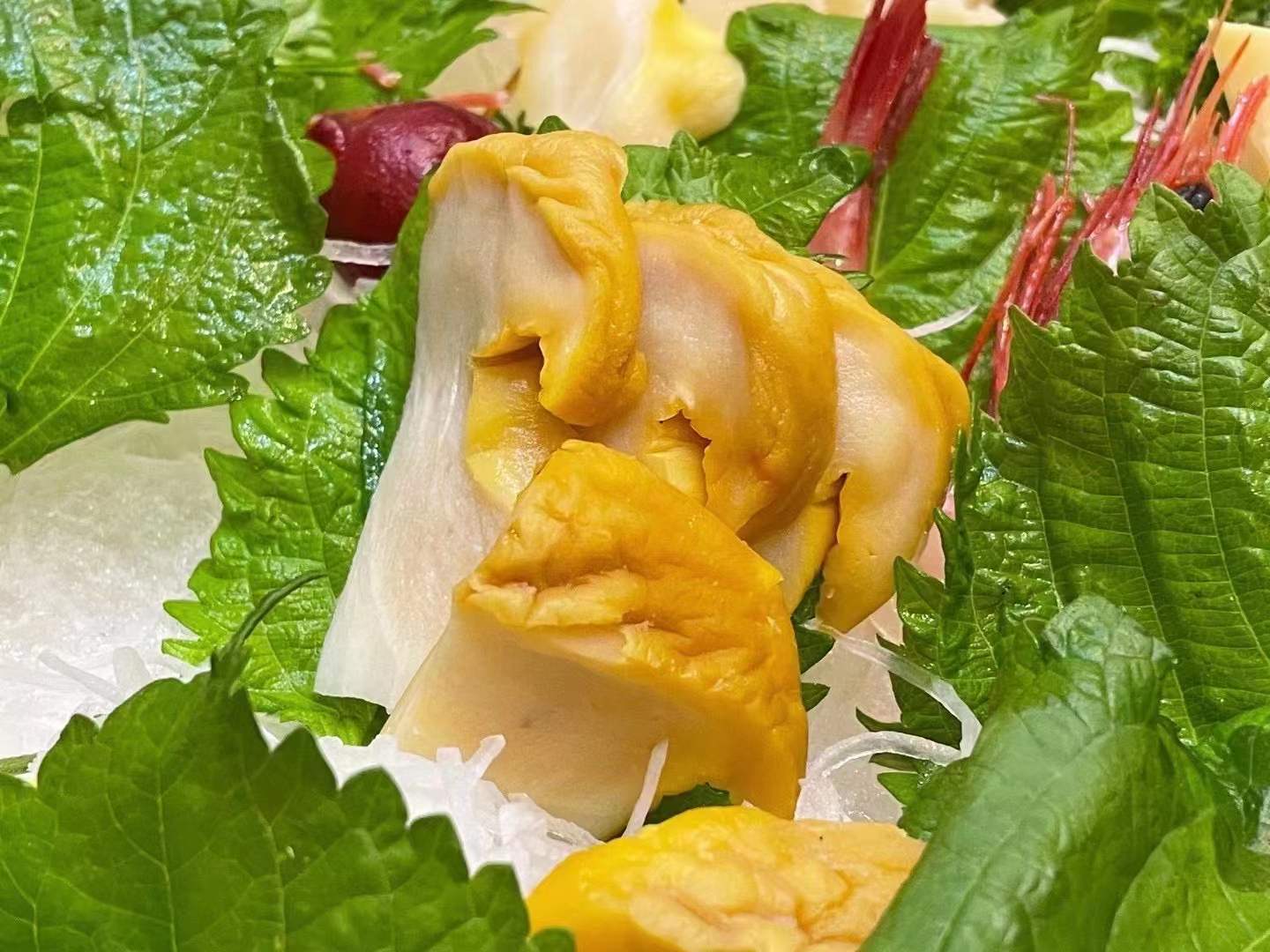 灵芝鲍螺海鲍螺大海螺新鲜冰冻海鲜螺肉 8公斤/箱